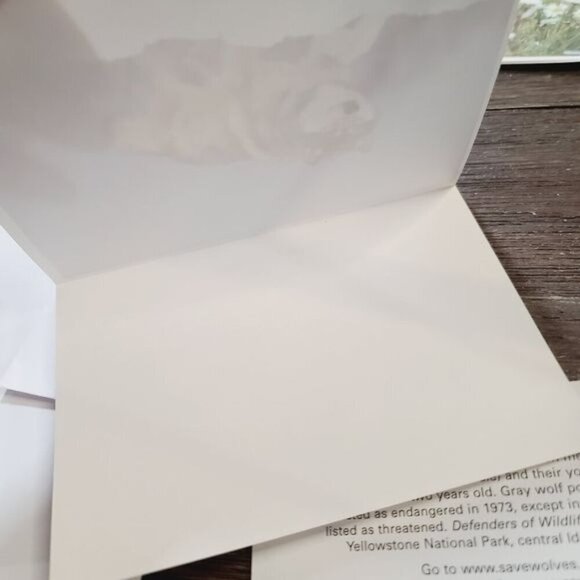 Defenders of Wildlife Gray Wolf Canis Lupus Blank Notecards - Picture 7 of 9